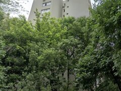 Obor, Colentina, vav Kaufland 6 minute metrou